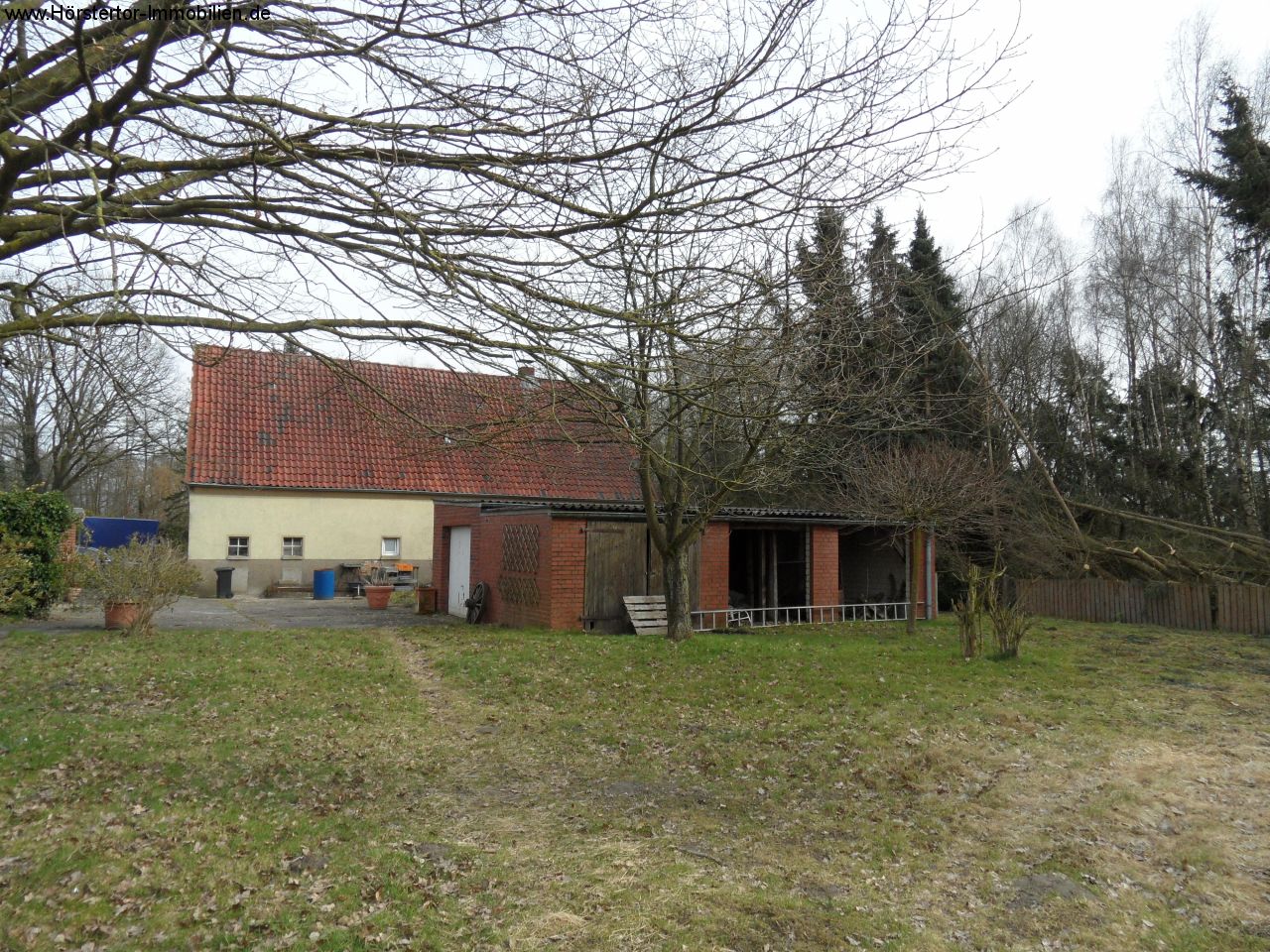 Landleben mit Pferd und Hund und Katz...