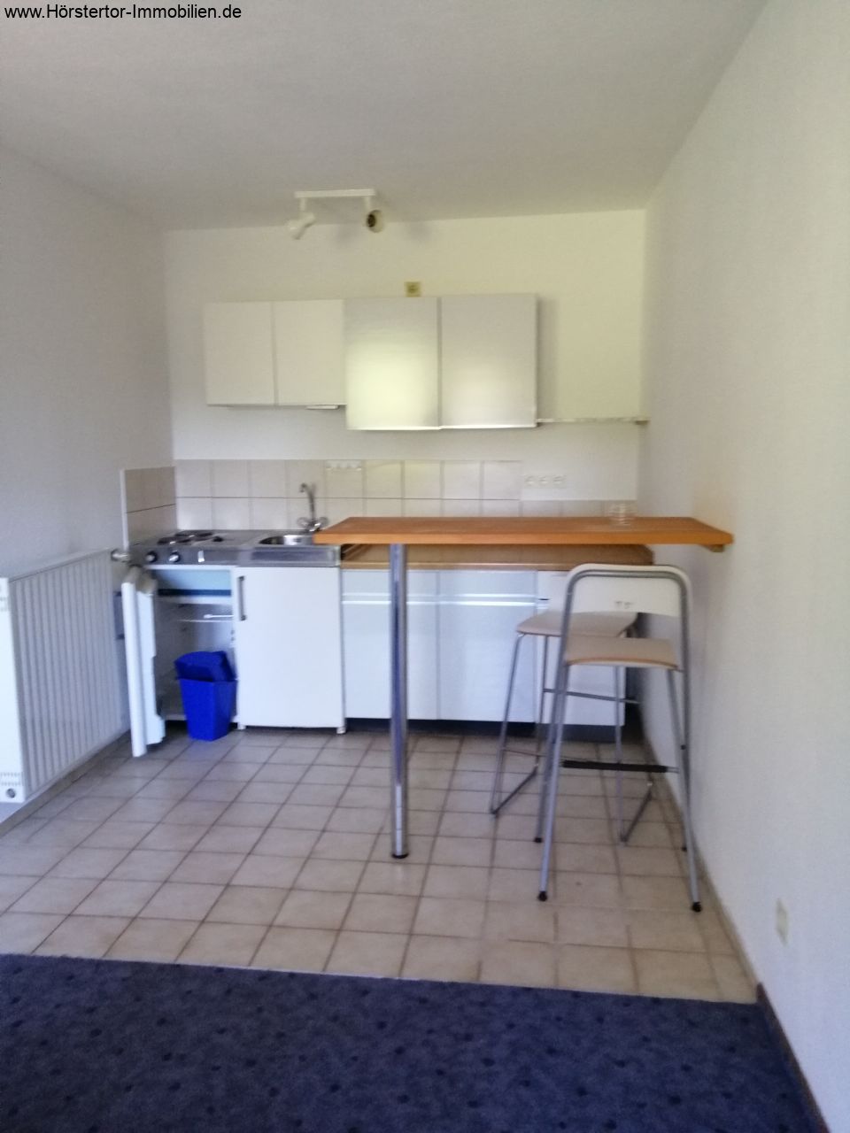 Single-Apartment zwischen Münster und Greven!